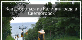 Как добраться из Калининграда в Светлогорск